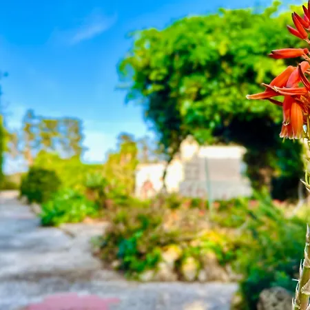 Primavera Holiday home
