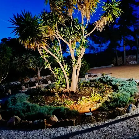 Primavera * Favignana