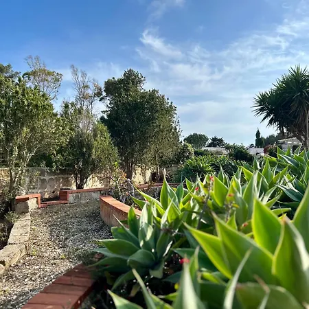 Primavera