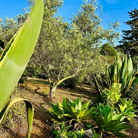 Primavera * Favignana